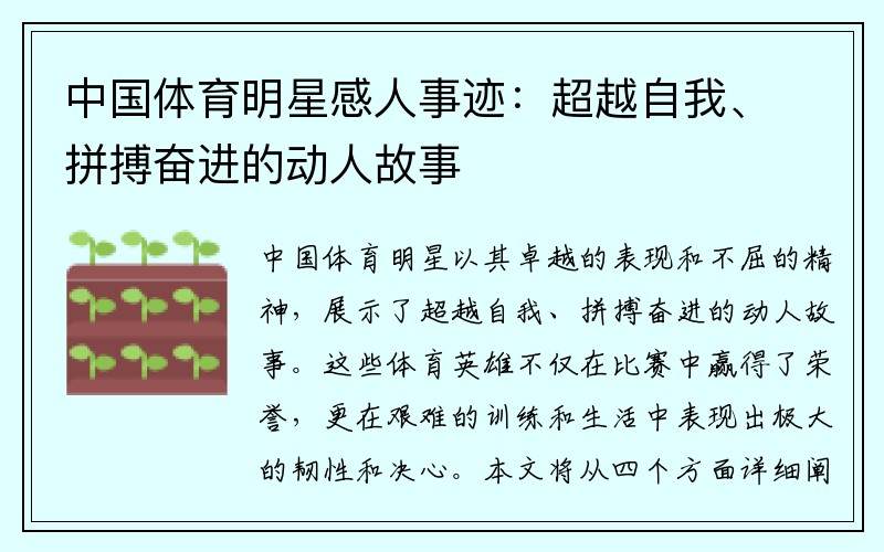 中国体育明星感人事迹：超越自我、拼搏奋进的动人故事