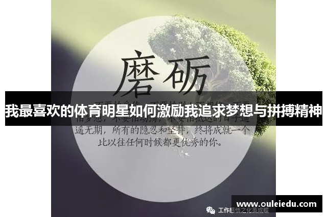 我最喜欢的体育明星如何激励我追求梦想与拼搏精神